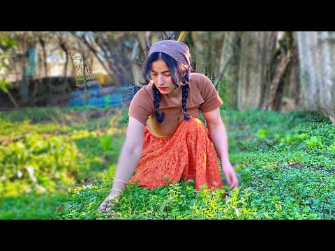 Beautiful Village Life In The Northern Iran : Simple Cooking & Simple Living 