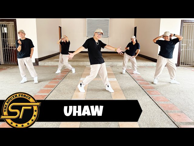 UHAW ( Dj Sandy Remix ) - Dilaw | Dance Trends | Dance Fitness | Zumba class=
