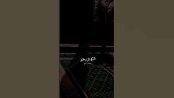 اكتب شي تؤجر عليه 🤍.                          #اكسبلور #تلاوة_خاشعة #راحة_نفسية #قران_كريم