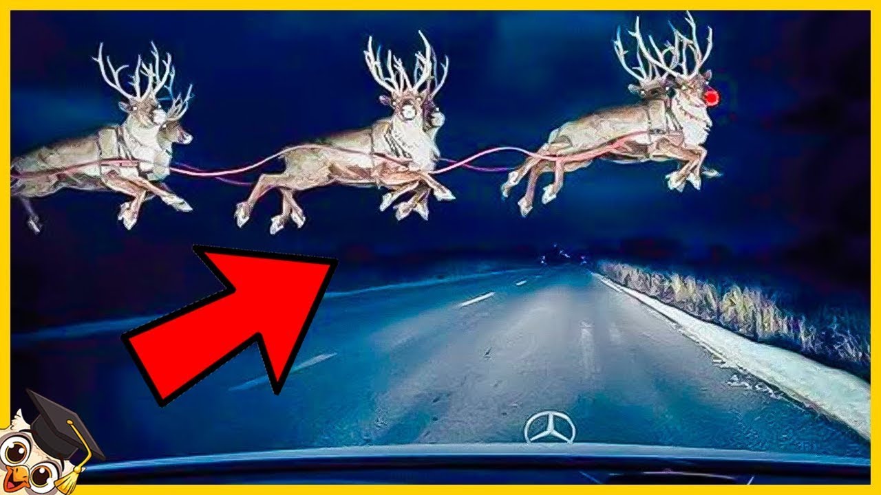 20 Personagens De Natal Capturados por Câmera na Vida Real