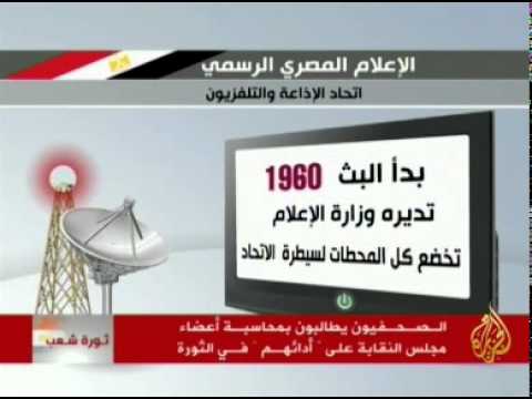 صحفيو مصر ينقلون الثورة لقاعات التحرير