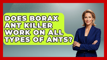 Does Borax Ant Killer Work On All Types Of Ants? - Insects and Invaders