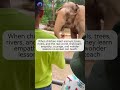 Why Kids Need Nature More Than Screens | Parenting Tip