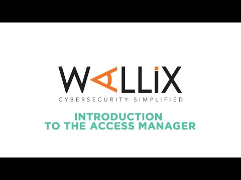 Introduction to the Access Manager