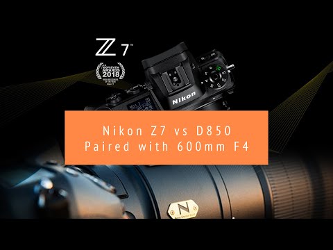 Nikon Z7 vs Nikon D850 vs Nikon Z6 - First Impressions - Which is better?