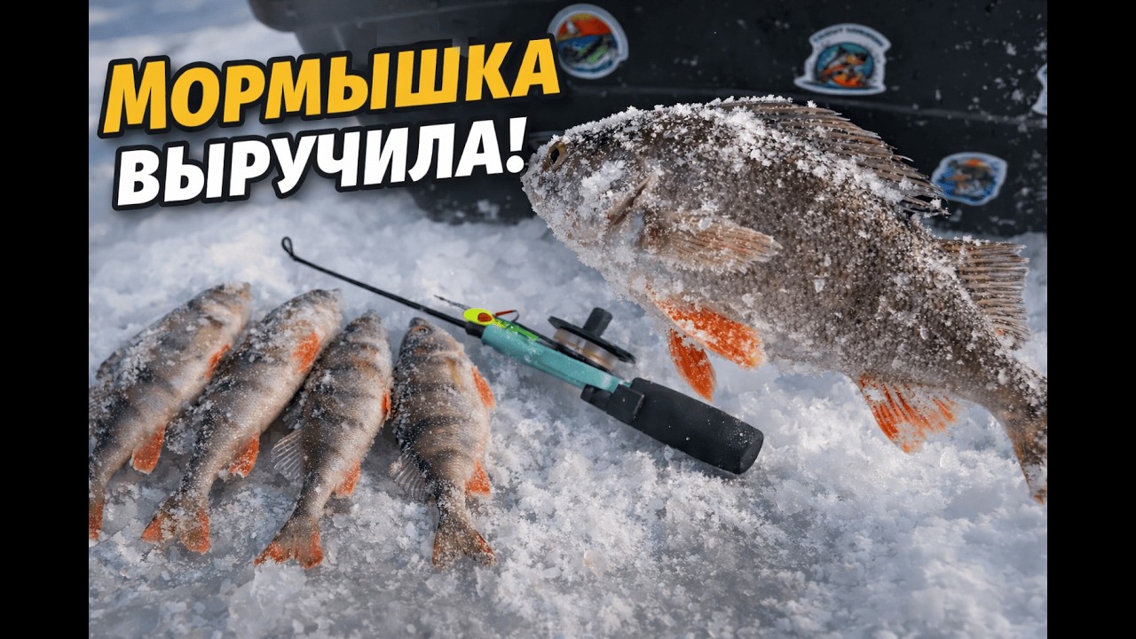 ГЛУХОЗИМЬЕ!?! МОРМЫШКА ВСЕГДА ВЫРУЧИТ!!