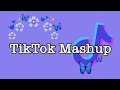 TikTok Mashup 2021 (not clean)