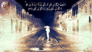 استجيبوا لربكم من قبل ان يأتي يوم../آية عظيمة/تلاوة مؤثرة/اجمل حالات واتساب