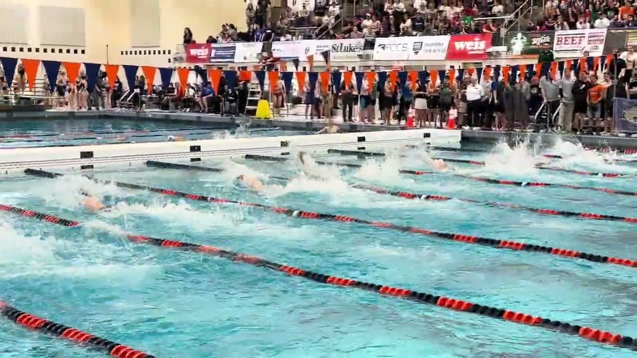 PIAA Swimming Championships: AA boys' 50 free prelims