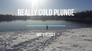 Really Cold Plunge - Dec 9th 2023
