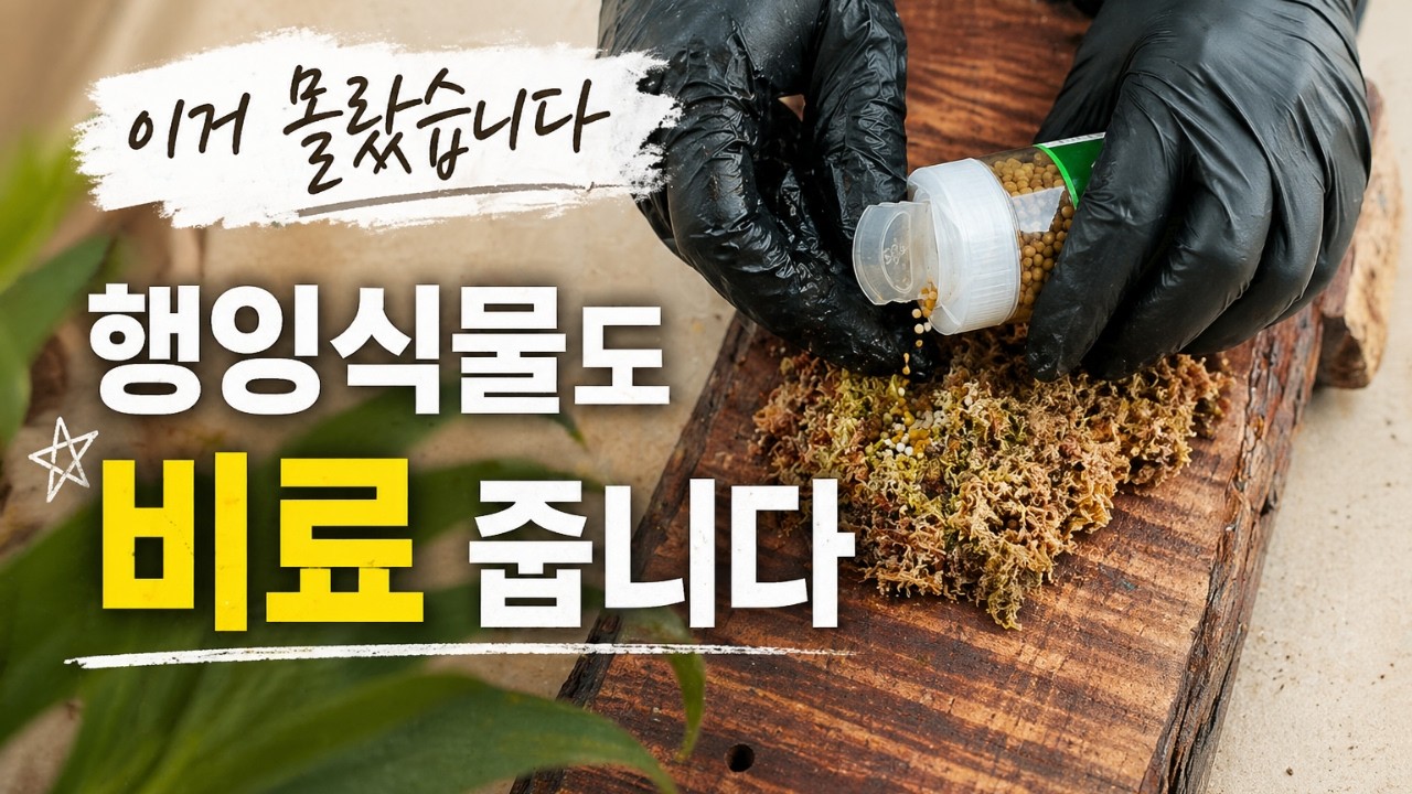 박쥐란 행잉플랜트 물만 주면 되는 줄… 완전 착각이었습니다 - YouTube