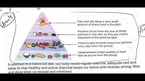 Class 5th Subject Science Ch 4 Question/ Answers by Anuj Yadav Sir 13 8 20