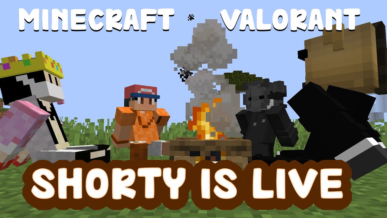minecraft live - YouTube