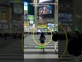 Shibuya Crossing: expectation vs reality #japantravel #tokyo