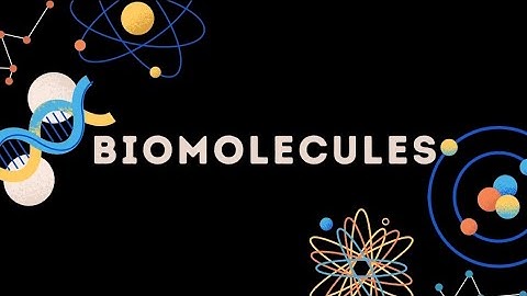BIOMOLECULES | Physical Science Performance Task (12-ICT A)