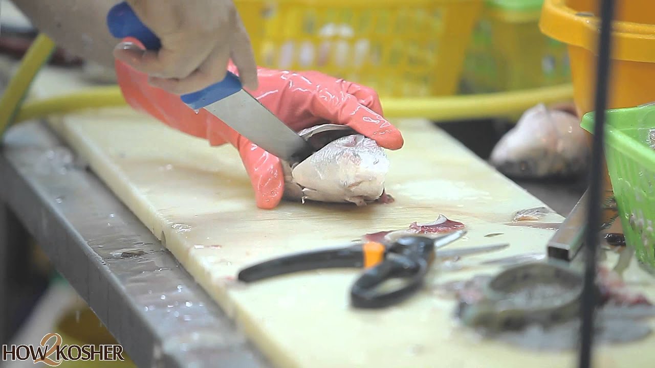 How to Clean a Kosher Fish Head for Rosh HaShanah [HD]       