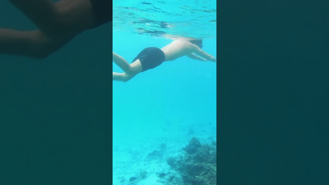 Explore the FIJI ISLANDS 