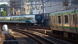 Shōnan–Shinjuku E231-1000 series meets Odoriko E257-2000 series train NA-09