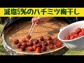 減塩5%のハチミツ梅干し/2023年版 今年は3キロの梅を減塩5%で作ってみました。赤紫蘇入り/Japanese home cooking