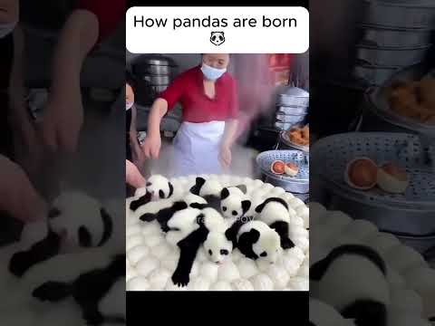 how pandas are
