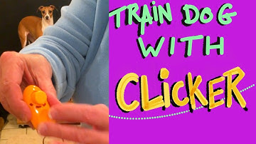 Clicker Training Made Simple: Train Your Dog the Easy Way