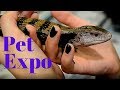 Reptile Expo Guide | How To Beat The Crowd and Get What You Want!