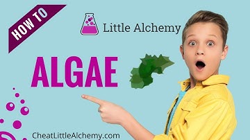 How To Make Algae In Little Alchemy