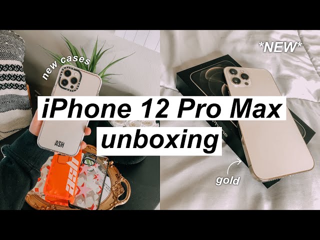 Unboxing Louis Vuitton Case iphone 12 pro max bumper 