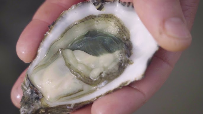 Comment ouvrir des huîtres sans se blesser – L'Express
