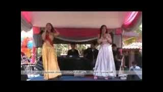 novi - tapak cinta cancerz entertainment