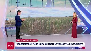 Οι Πληροφορίες Για Τις Νέες Δικογραφίες Για Τον Οπεκεπε, Που Αφορούν Πολιτικούς Τι Λένε Τα Κόμματα