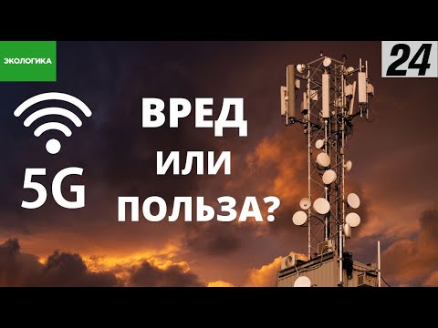 5G: кто такие радиофобы и почему они боятся вышек сотовой связи | Экологика