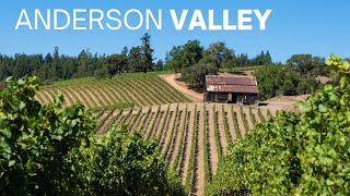 The Perfect Weekend in the Anderson Valley: Wineries, Apple Orchards, Redwood Hikes & More