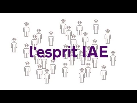 IAE France : le réseau des écoles universitaires de management