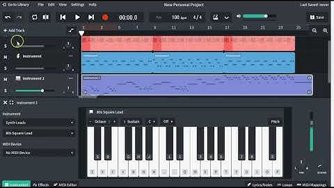 Path 1: Final Project Video Demo