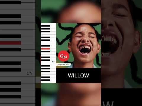 Willow - B I G F E E L I N G S