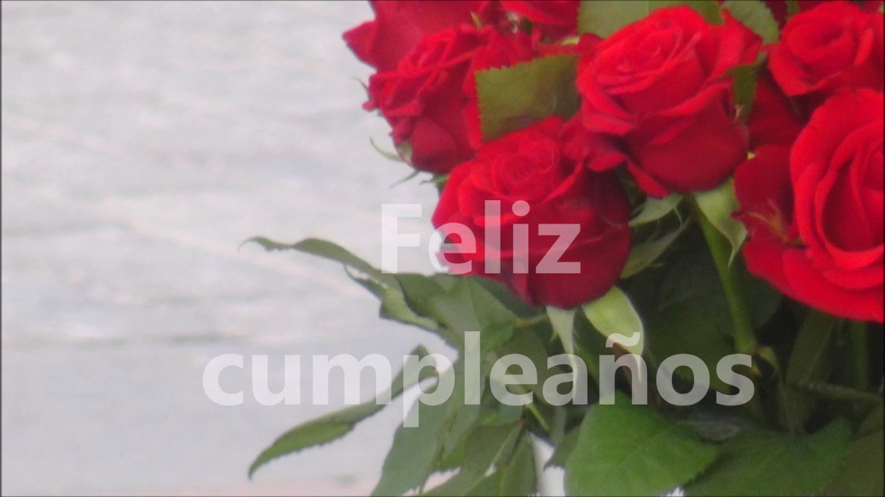 Hoy es tu cumpleaños felicitaciones felicitaciones vs felicidades