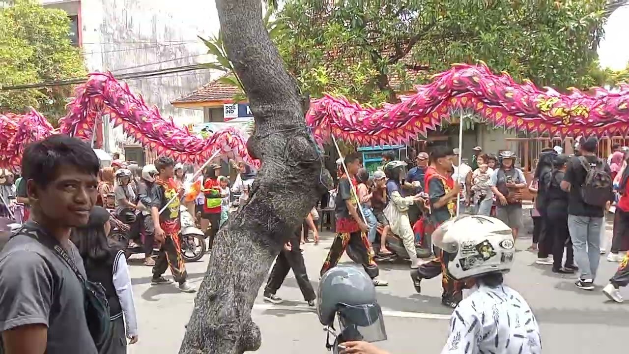 Pawai barongsai menyambut hari raya imlek di pare kediri. 