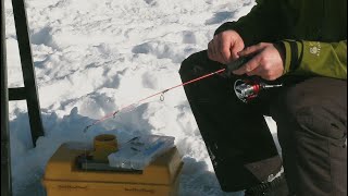 Using an Ice Fishing Jigging Rod 