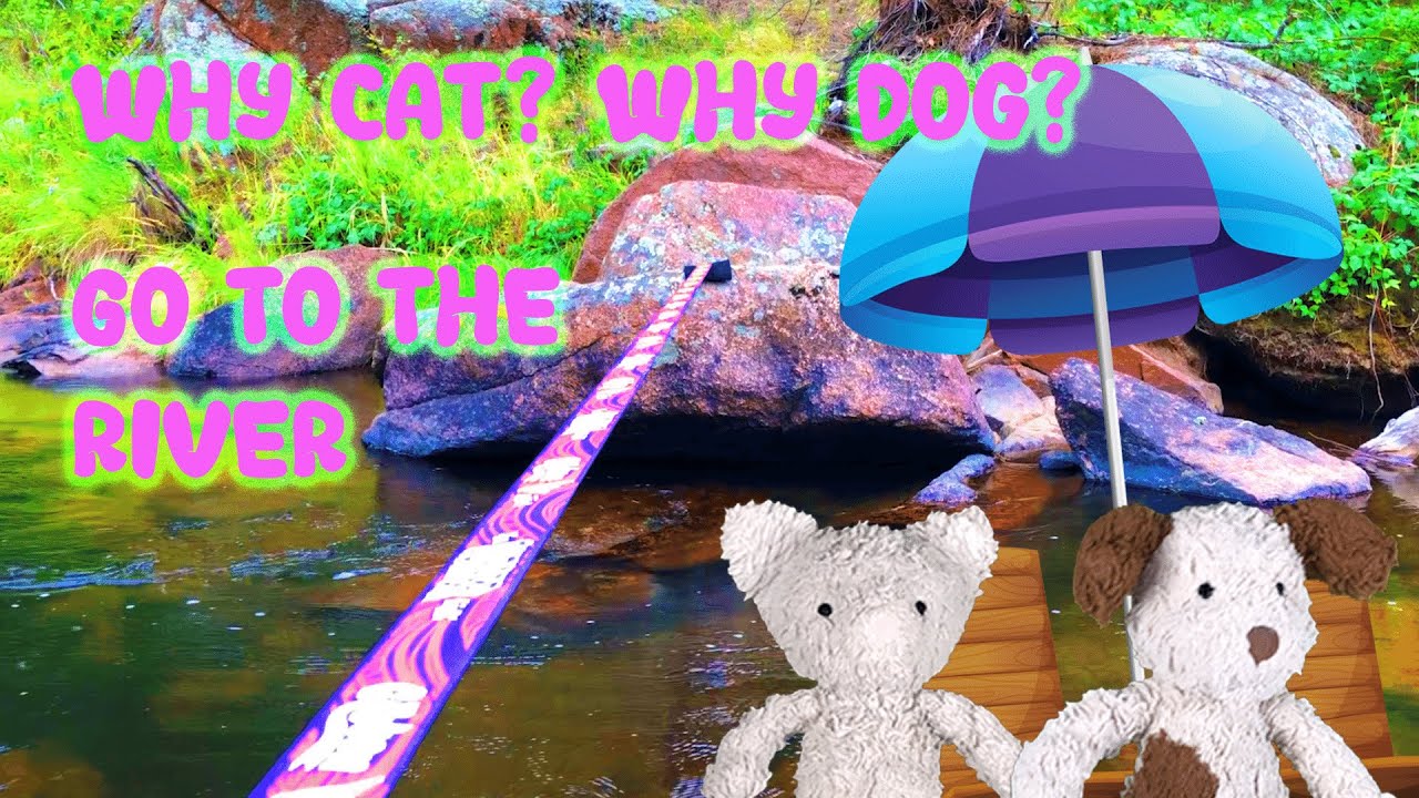 Cat and Dog Go to the River YouTube