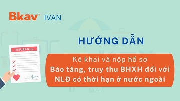 Hướng dẫn Kê khai và nộp hồ sơ Báo tăng, truy thu BHXH đối với NLĐ có thời hạn ở nước ngoài (HN22)