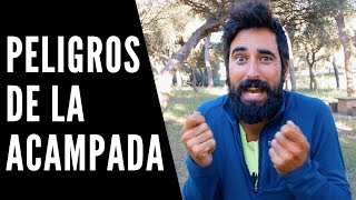 LOS PELIGROS DE LA ACAMPADA