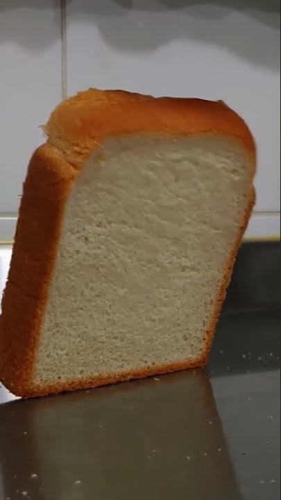 toast fall xenogenesis