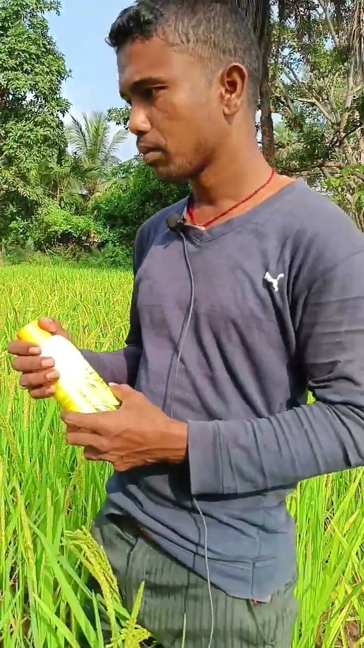 कांकेर के युवा किसान धरम सिंह ने नैनो डीएपी को लेकर क्या कहा| वनइंडिया हिंदी