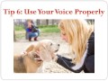 positive dog training positive dog training