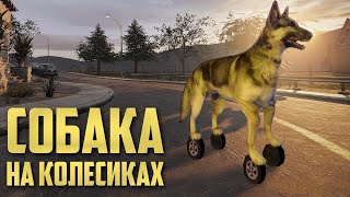 :    | Rainbow Six Siege