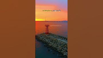 Top 10 tỉnh có sản lượng tôm nuôi lớn nhất Việt Nam #nuoitom #quangnam #longan #quangninh #tiengiang