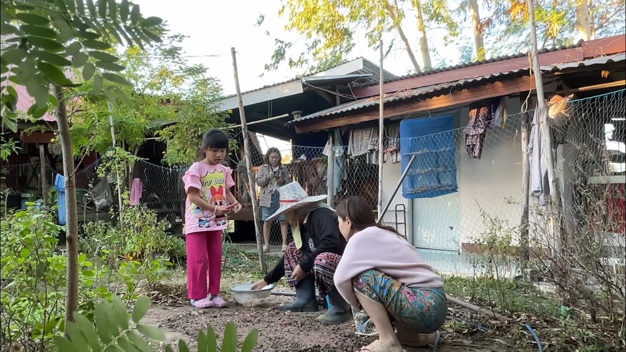 #ผักสวนครัว