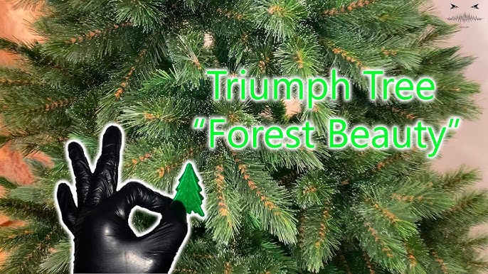 Triumph Tree Christmas tree - Hook on 