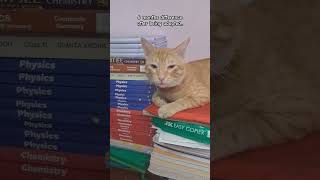 He Got A Double Chin